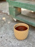 Zdjęcie doniczki lub oslonki: Osłonka Winnie 9x9&nbsp;cm, ujęcie 1