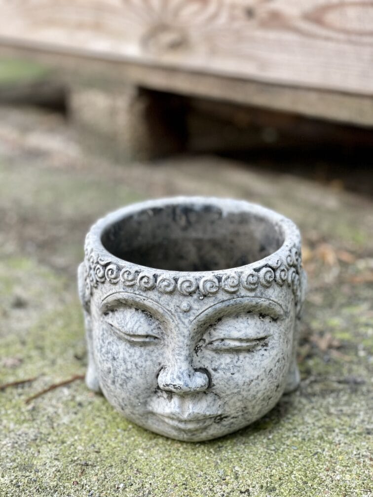 Zdjęcie doniczki lub oslonki: Osłonka Buddha Grey 11x12&nbsp;cm, ujęcie 1