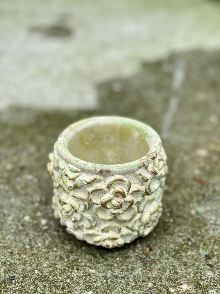 Zdjęcie doniczki lub oslonki: Osłonka Green Rose 6x8 cm, ujęcie 1