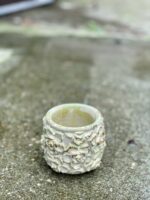 Zdjęcie doniczki lub oslonki: Osłonka Green Rose 6x8 cm, ujęcie 3