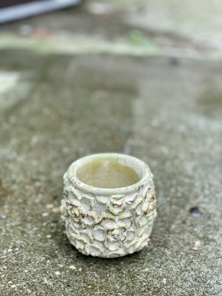 Zdjęcie doniczki lub oslonki: Osłonka Green Rose 6x8 cm, ujęcie 3