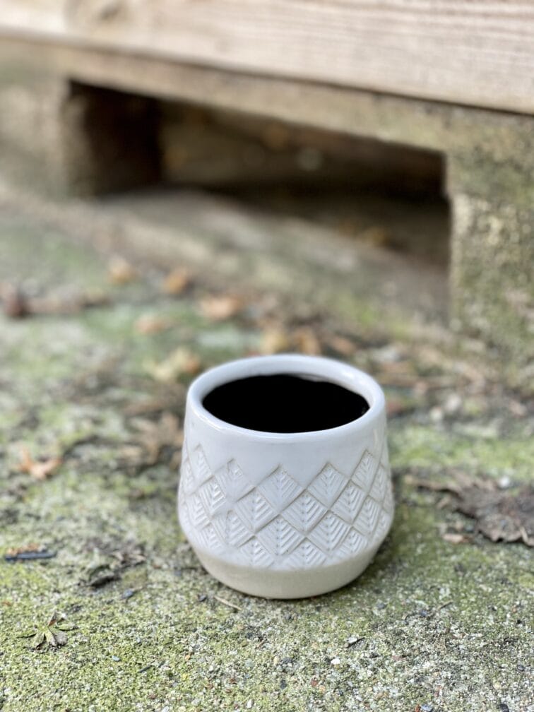 Zdjęcie doniczki lub oslonki: Osłonka Lilia 6x7 cm, ujęcie 1