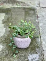 Zdjęcie doniczki lub oslonki: Osłonka Pink Glaze 10x13 cm, ujęcie 2