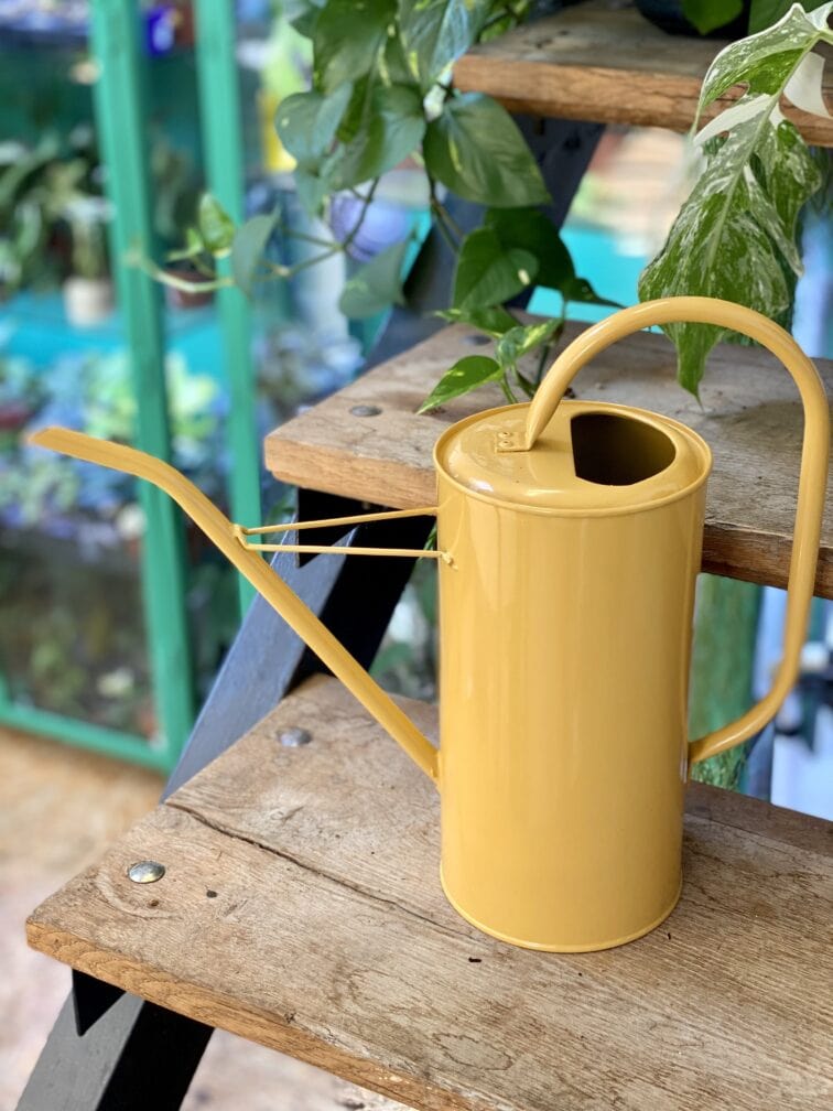 Zdjęcie akcesoria Konewka Svip żółta 13x24, ujęcie 1