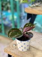 Zdjęcie doniczki lub oslonki: Osłonka Niezapominajka 8x7 cm, ujęcie 2