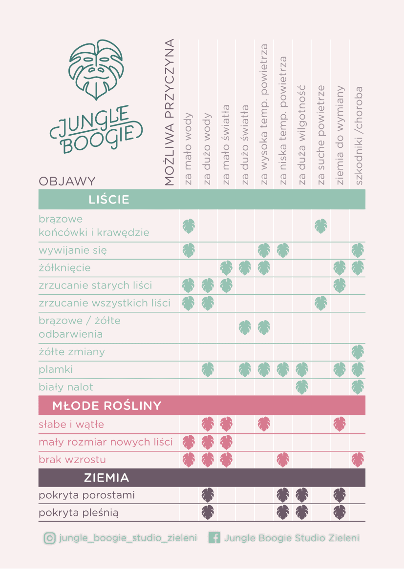 Infografika rośliny doniczkowe