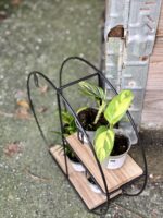 Zdjęcie akcesoria Półka do roślin Round 26x29 cm, ujęcie 2