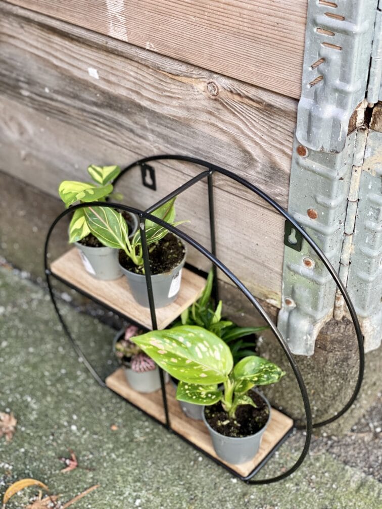 Zdjęcie akcesoria Półka do roślin Round 26x29 cm, ujęcie 3