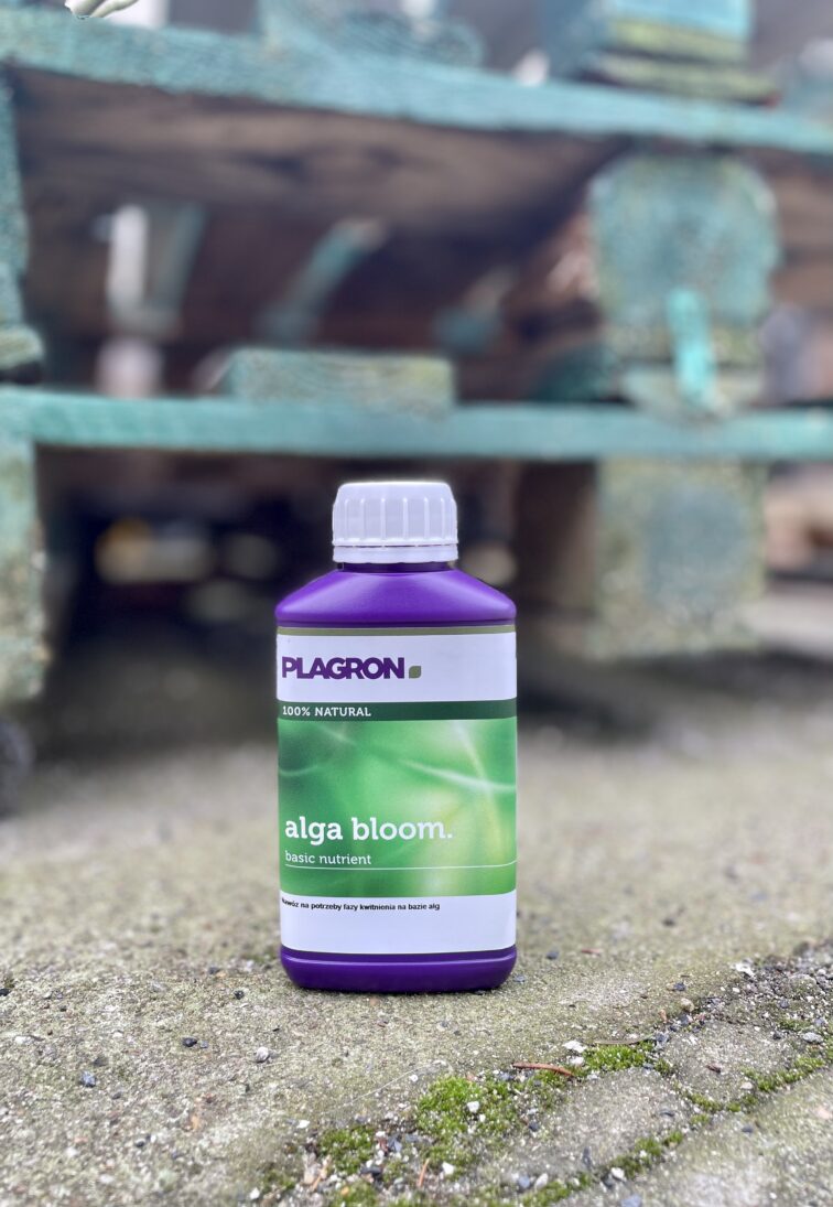 Zdjęcie akcesoria Alga-Bloom Plagron 250ml 0,25l, ujęcie 1