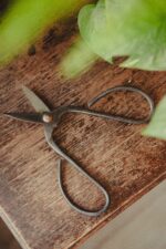 Zdjęcie akcesoria Nożyce do bonsai 10x20cm, ujęcie 2