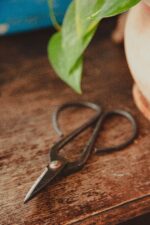 Zdjęcie akcesoria Nożyce do bonsai 10x20cm, ujęcie 3