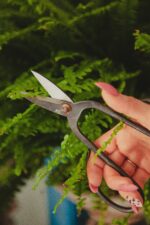 Zdjęcie akcesoria Nożyce do bonsai 10x20cm, ujęcie 5