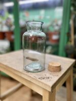 Zdjęcie rosliny doniczkowej Glass Vase Esp with cork, ujęcie 2
