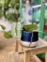 Zdjęcie doniczki lub oslonki: Osłonka Blue Lagoon 12 × 12 cm, ujęcie 2