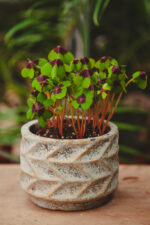 Zdjęcie doniczki lub oslonki: Osłonka Tire 9 × 9 cm, ujęcie 3