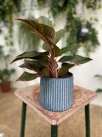 Zdjęcie doniczki lub oslonki: Osłonka Akwamaryn 12 × 12 cm, ujęcie 2