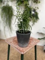 Zdjęcie doniczki lub oslonki: Osłonka Ash 12 × 13 cm, ujęcie 2