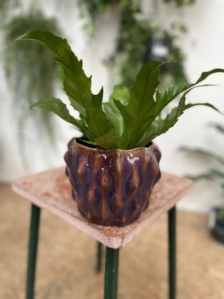 Zdjęcie doniczki lub oslonki: Osłonka Stalagmit 12 × 13 cm, ujęcie 2