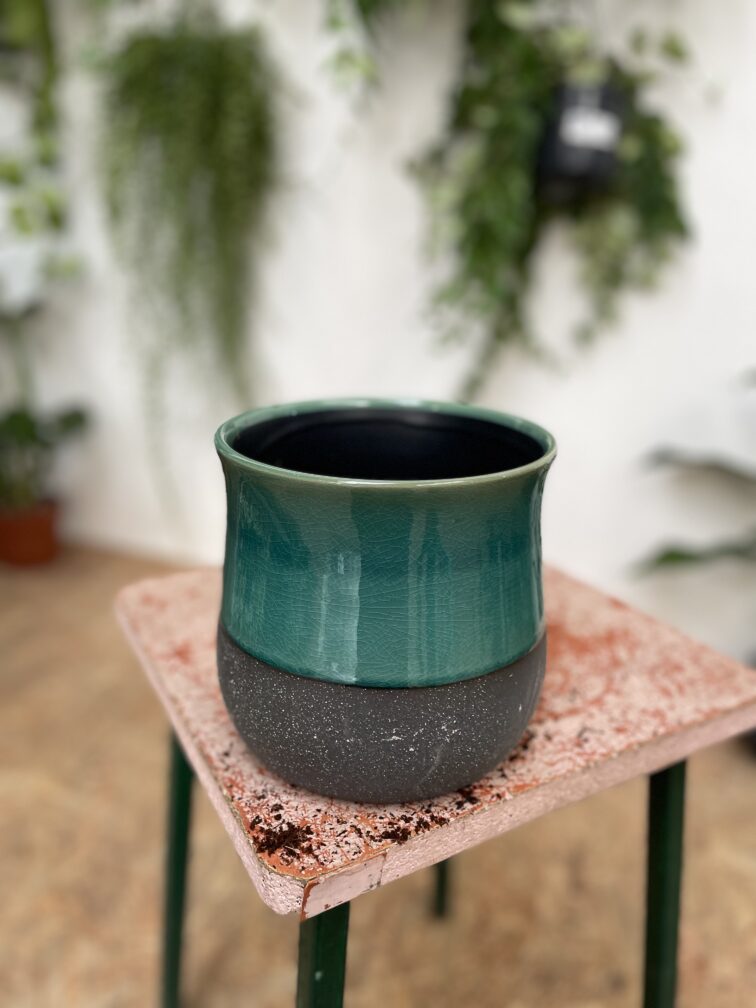 Zdjęcie doniczki lub oslonki: Osłonka Tuluza 15 × 16 cm, ujęcie 3