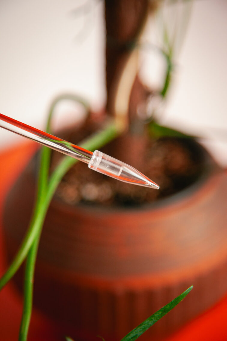 Zdjęcie akcesoria Palik tyczka przezroczysty, ujęcie 2