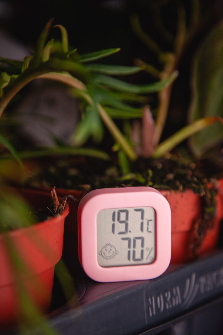 Zdjęcie akcesoria Mini pogodynka pink, ujęcie 1