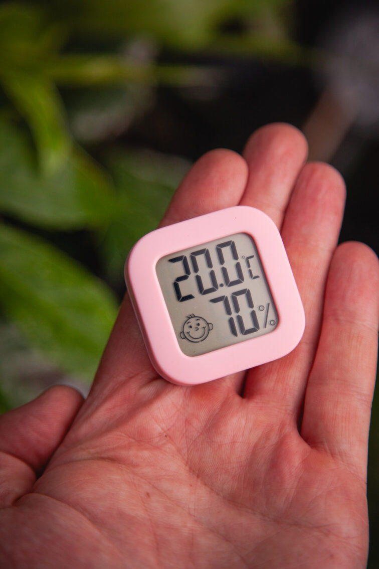 Zdjęcie akcesoria Mini pogodynka pink, ujęcie 2