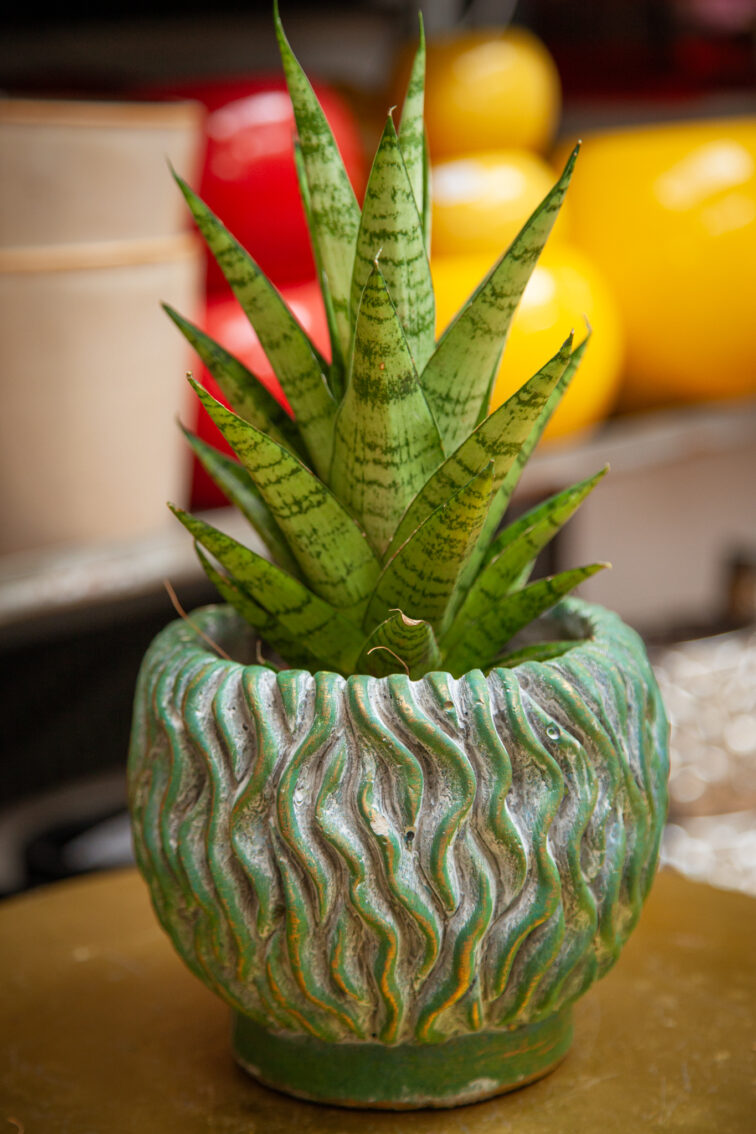 Zdjęcie doniczki lub oslonki: Osłonka Medusa 12 × 13 cm, ujęcie 3