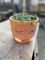 Zdjęcie doniczki lub oslonki: Osłonka Piernik ona, ujęcie 2