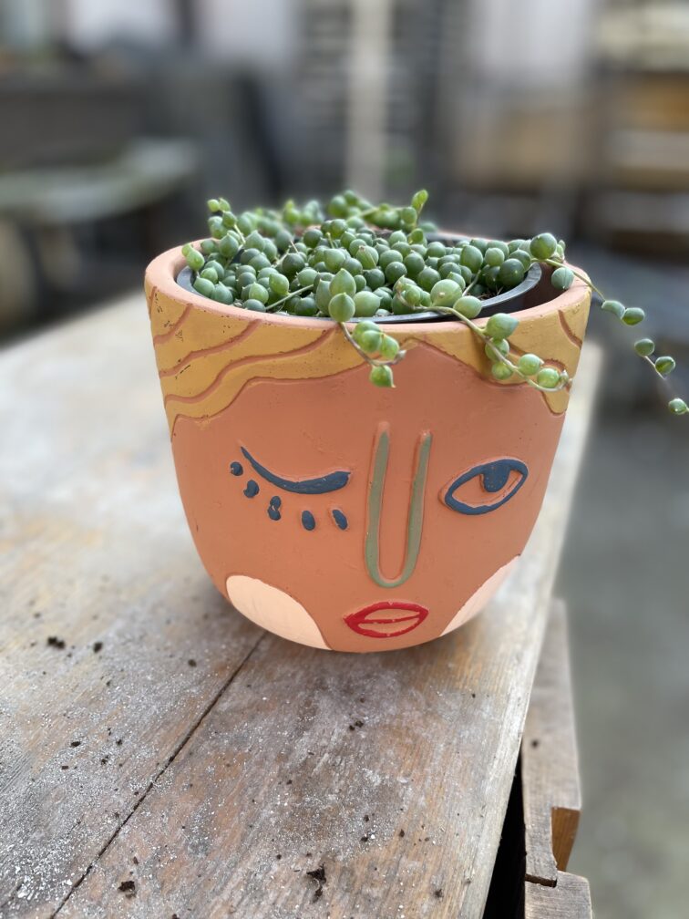 Zdjęcie doniczki lub oslonki: Osłonka Piernik ona, ujęcie 2