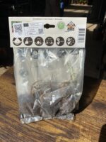 Zdjęcie rosliny doniczkowej Echinacea purpurea (jeżówka purpurowa), ujęcie 2