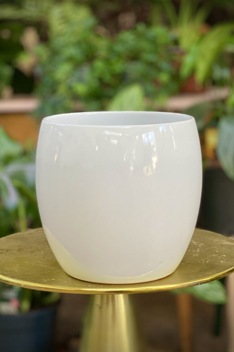 Zdjęcie doniczki lub oslonki: Osłonka Snow Ball, ujęcie 1