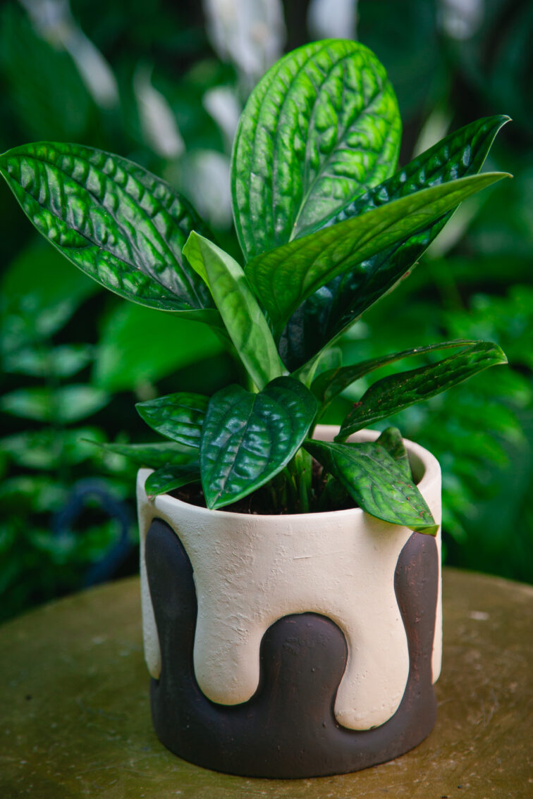 Zdjęcie doniczki lub oslonki: Osłonka Puzzel 12 × 13 cm, ujęcie 2