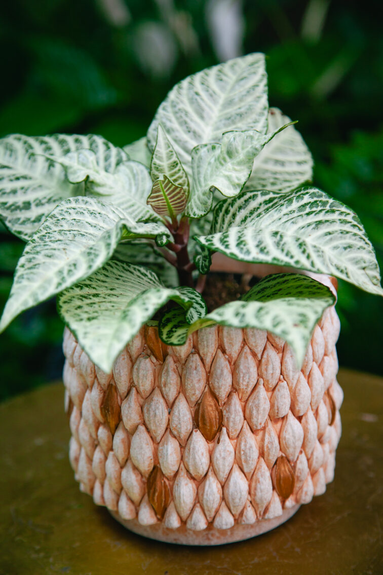 Zdjęcie doniczki lub oslonki: Osłonka Wool 12 × 13 cm, ujęcie 3