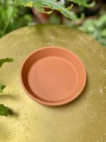 Zdjęcie doniczki lub oslonki: Podstawka gliniana 12 × 4 cm, ujęcie 2