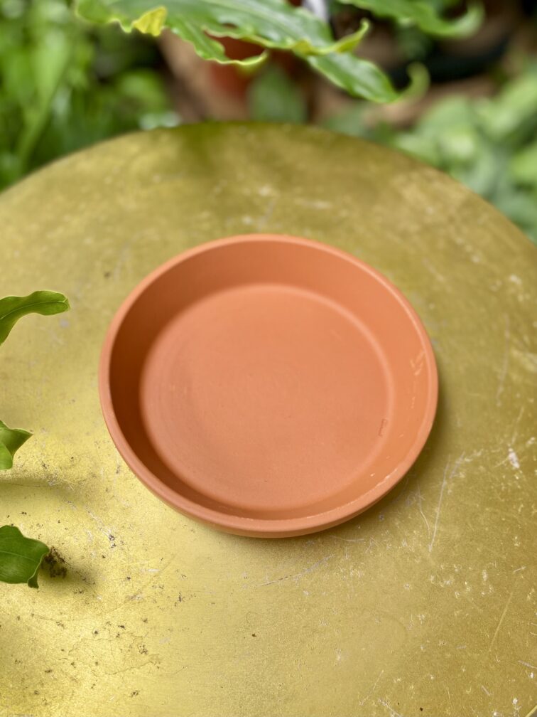 Zdjęcie doniczki lub oslonki: Podstawka gliniana 12 × 4 cm, ujęcie 2